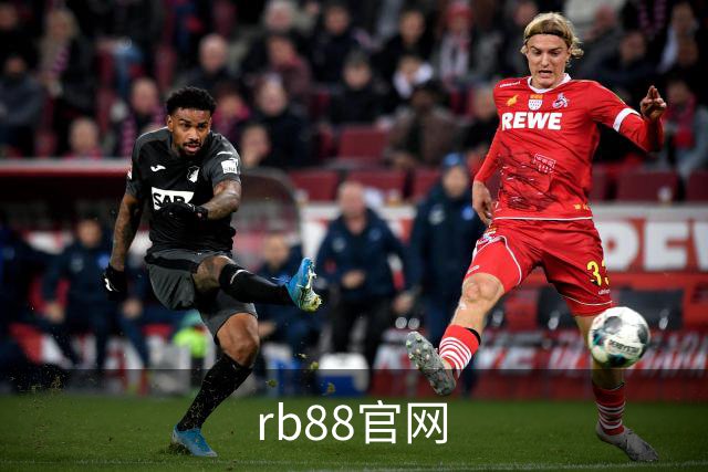 rb88官网公司简介